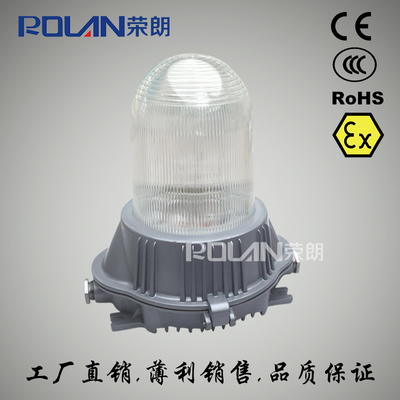 WY2600-150W工厂泛光灯具 防水防尘灯WY2600-产品报价-温州荣朗电气